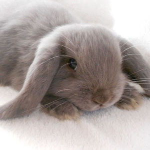 Meet your Posher, Aislynn